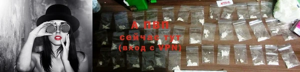 ECSTASY Лабытнанги