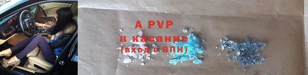 стафф Ладушкин