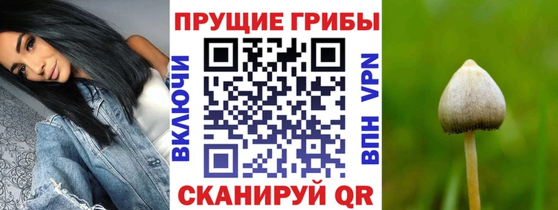 Галлюциногенные грибы MAGIC MUSHROOMS  Шимановск 